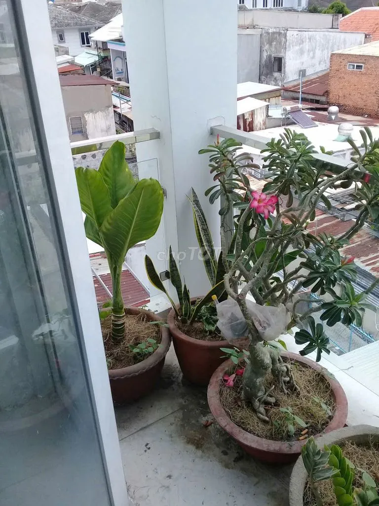 Cho thuê phòng trọ đường số 1 Hiệp Bình Phước gần Vạn Phúc City