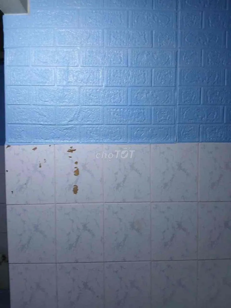 phòng trọ Hương Lộ 2