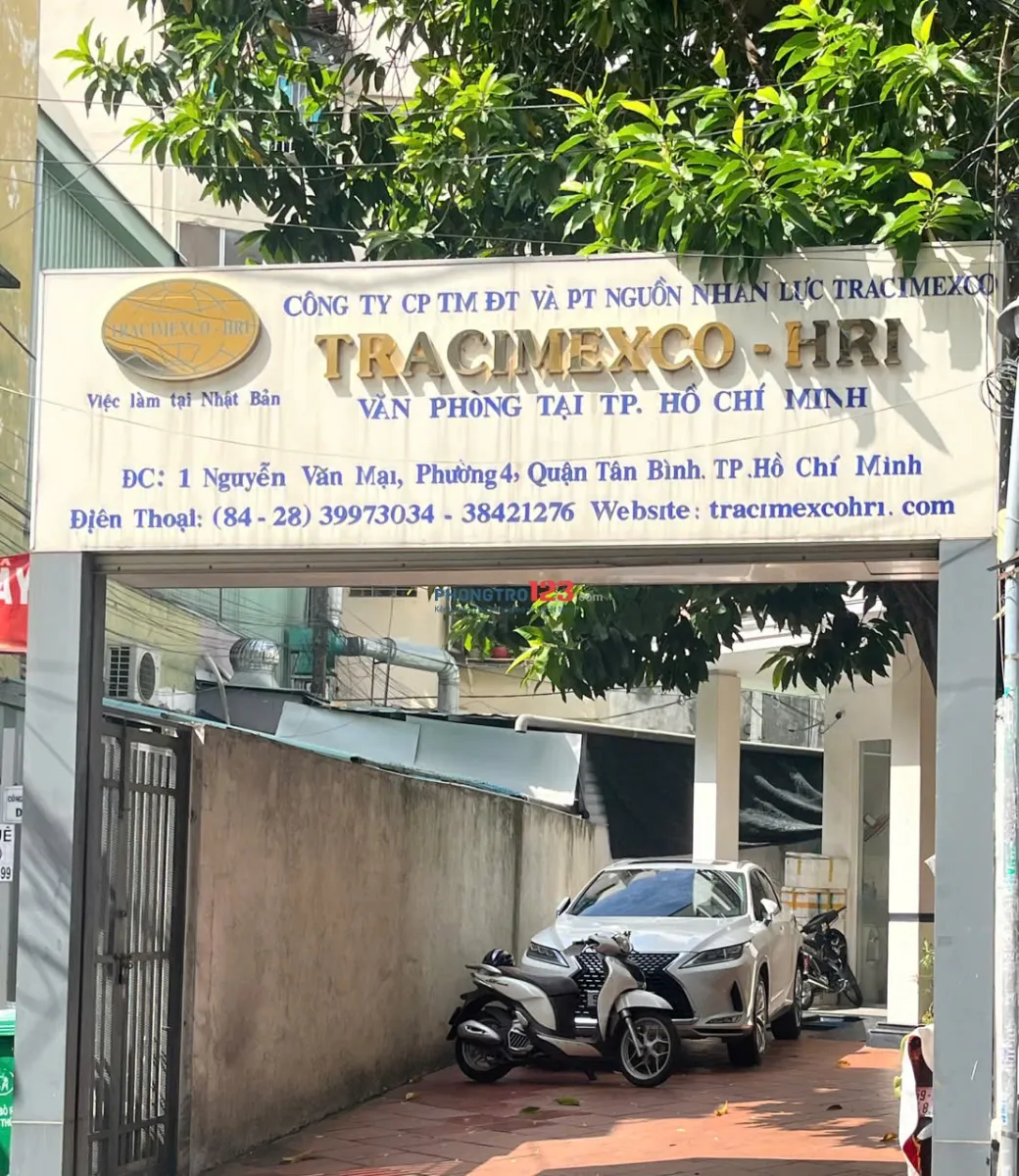 CHO THUÊ NHÀ LÀM VĂN PHÒNG/MẶT BẰNG 300M² – 2 TẦNG – TÂN BÌNH – THÍCH HỢP TRỤ SỞ CÔNG TY