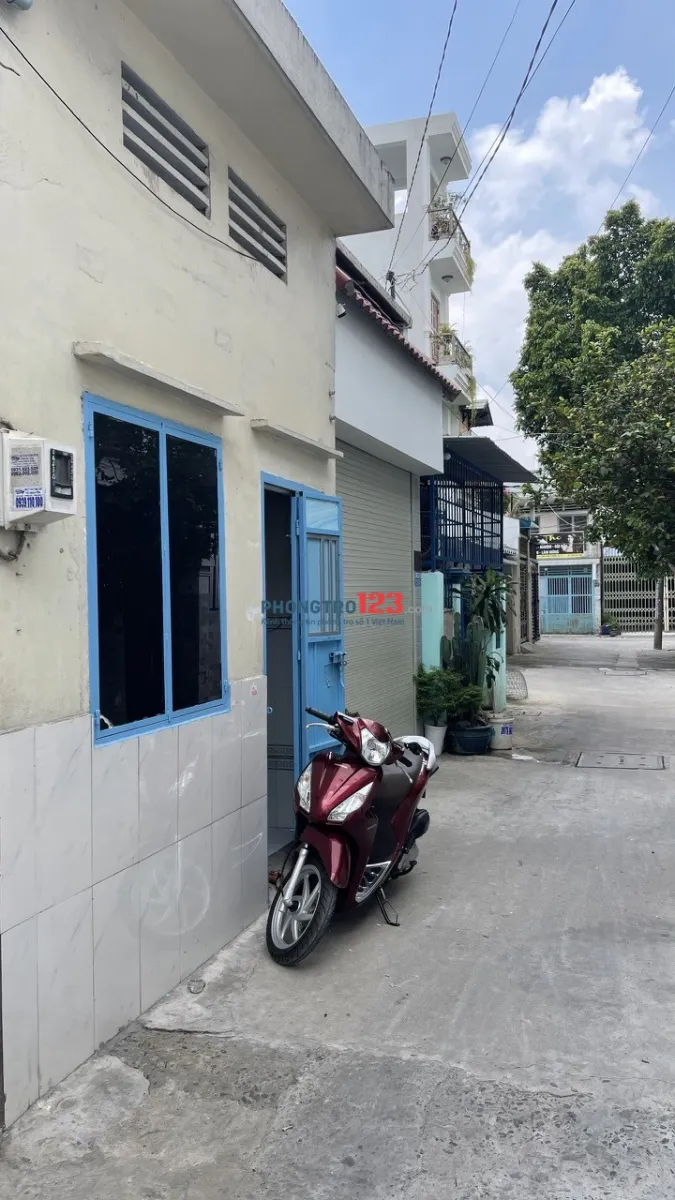 cho thuê nhà nguyên căn riêng biệt, mặt tiền hẻm xe hơi
