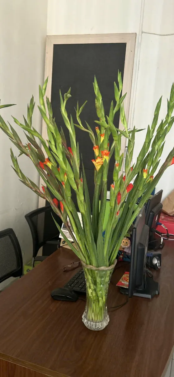 Nhà trọ Lý Tấn Hùng